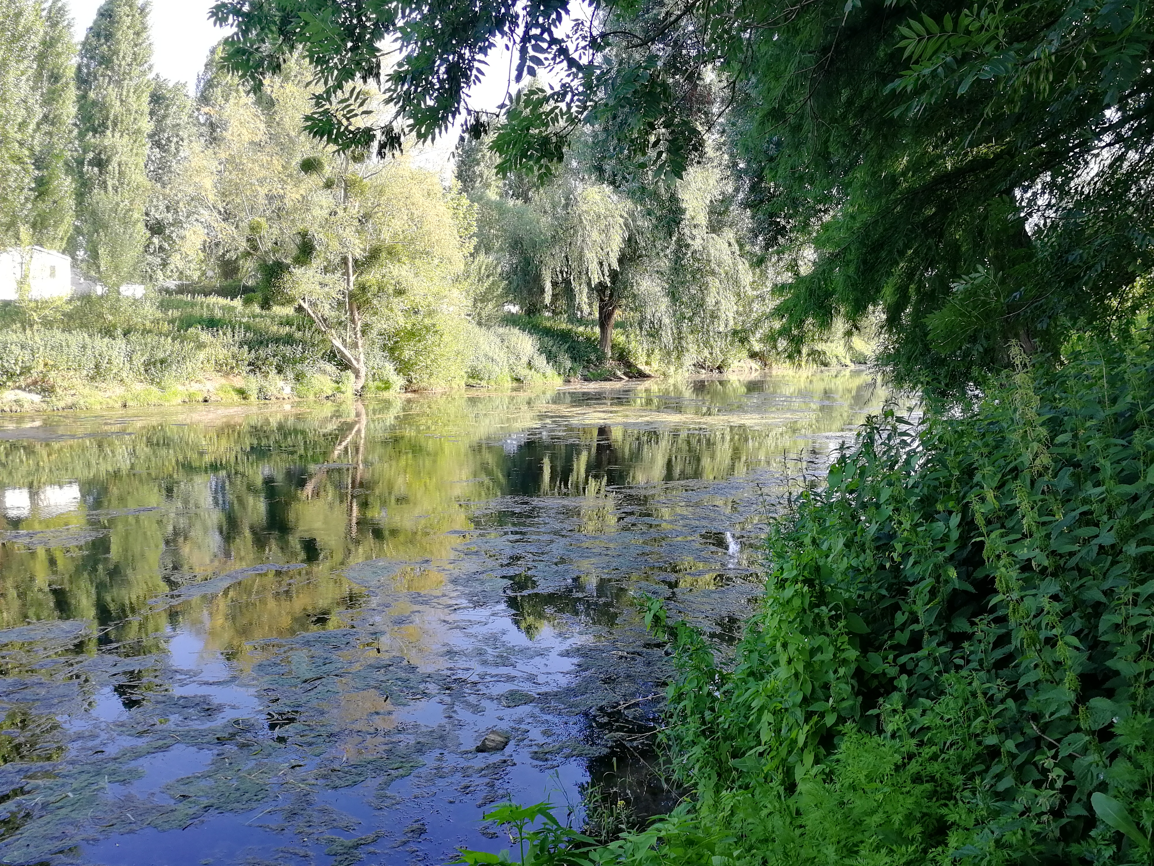Photo n° 2 de l'avis de clara.' fait le 24/06/2020 à 16:59