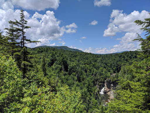 National Forest «Pisgah National Forest», reviews and photos, 1600 Pisgah Highway, Nebo, NC 28761, USA