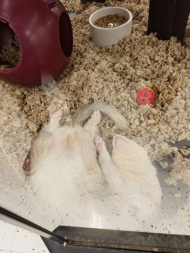 Pet Supply Store «Petco Animal Supplies», reviews and photos, 12014 SW 88th St, Miami, FL 33186, USA