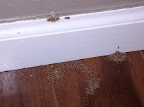 EnviroWise Pest Solutions, Inc. - Photo 6 - Car repair in , Fresno