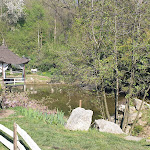 Photo n°26 de l'avis de Giuseppe.r fait le 19/04/2022 à 08:00 sur le  Agriturismo Shakei à Zappa