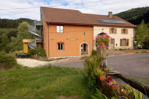 Lodge Ecogite de Saint-Prayel : Location gîte de groupe pour 16 à 18 personnes, avec 7 chambres, terrasse, jardin, idéal pour PMR et séminaires, proche Gérardmer, à Moyenmoutier dans les Vosges Moyenmoutier