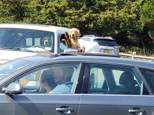 Variety Store «Springs General Store», reviews and photos, 29 Old Stone Hwy, East Hampton, NY 11937, USA