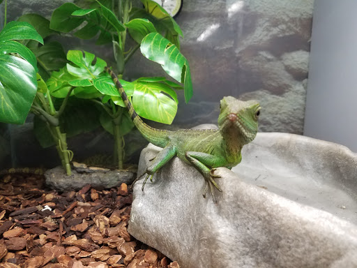 Pet Supply Store «Petco Animal Supplies», reviews and photos, 10 Sylvan St, Peabody, MA 01960, USA