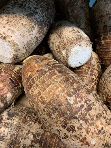 Grocery Store «Asian Market», reviews and photos, 1043 Pedigo Way # 8, Bowling Green, KY 42103, USA