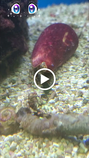 Pet Supply Store «Petco Animal Supplies», reviews and photos, 390 Universal Dr N, North Haven, CT 06473, USA