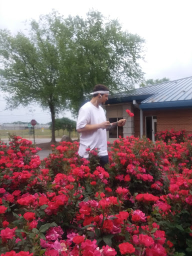 Community Center «Pigeon Forge Community Center», reviews and photos, 170 Community Center Dr, Pigeon Forge, TN 37863, USA