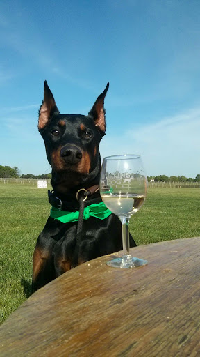Winery «Working Dog Winery», reviews and photos, 610 Windsor Perrineville Rd, Robbinsville, NJ 08691, USA