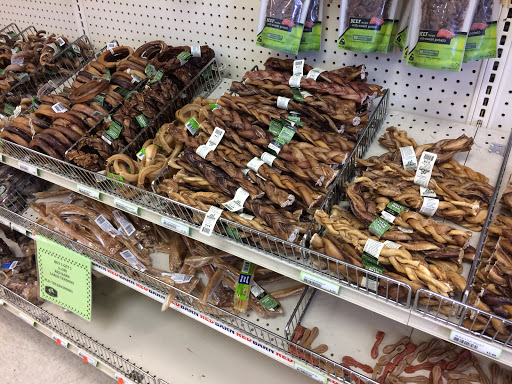 Pet Supply Store «Pet Club Tempe», reviews and photos, 6350 S McClintock Dr, Tempe, AZ 85283, USA