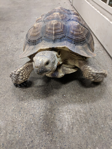 Pet Supply Store «Premier Pet Supply», reviews and photos, 31215 Southfield Rd, Beverly Hills, MI 48025, USA