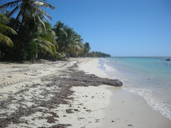 Plage de Grand Bourg'in fotoğrafı imkanlar alanı