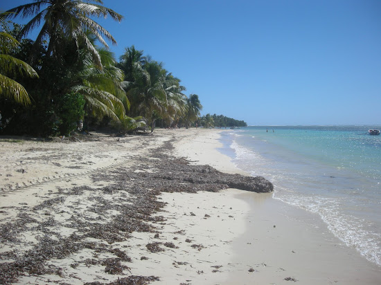 Plage de Grand Bourg