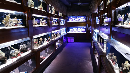 Tropical Fish Store «Old Town Aquarium», reviews and photos, 1538 N Wells St, Chicago, IL 60610, USA