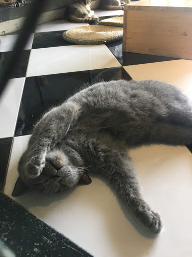 Top 20 cửa hàng kim yến Quận Ba Đình Hà Nội 2022