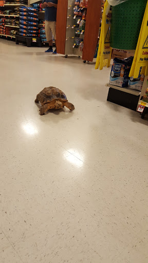 Pet Supply Store «PetSmart», reviews and photos, 6019 Wade Hampton Blvd, Taylors, SC 29687, USA