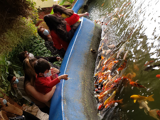 Parque Acuático