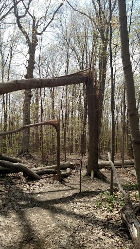 Nature Preserve «Princess Ledges Nature Preserve», reviews and photos, 4361 Spruce Ave, Brunswick, OH 44212, USA