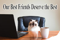 My Lovable Pets - Photo 3 - Car repair in Provo, UT, Provo