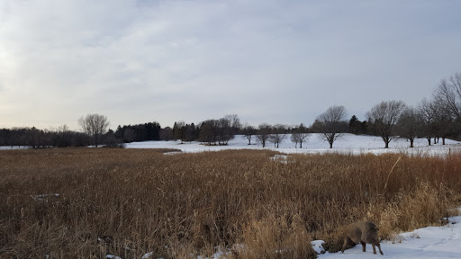 Golf Course «Theodore Wirth Golf Course», reviews and photos, 1301 Theodore Wirth Pkwy, Minneapolis, MN 55422, USA