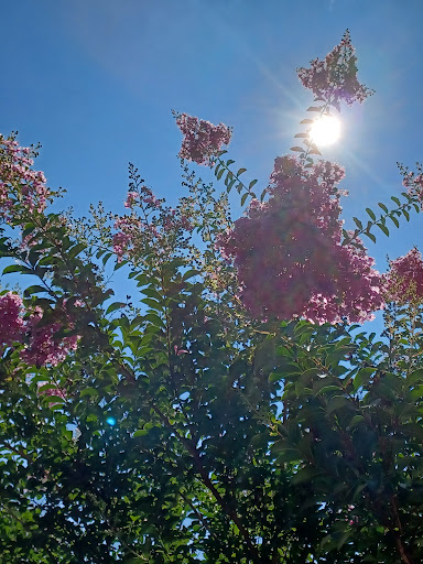Shopping Mall «Frederick County Square Shopping Center», reviews and photos, 1003 W Patrick St, Frederick, MD 21702, USA