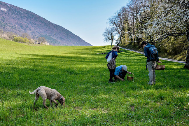 La Sauvageraie - Val-de-Travers NE