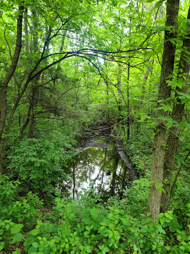 Park «Baker Park Reserve», reviews and photos, 2309 Baker Park Rd, Maple Plain, MN 55359, USA