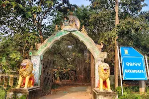 Sakhibata Temple image