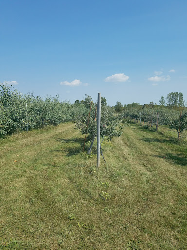 Golf Club «Hickory Creek Golf Course», reviews and photos, 3625 Napier Road, Superior Charter Twp, MI 48198, USA