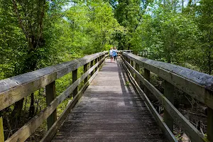 Fair Bluff River Walk image