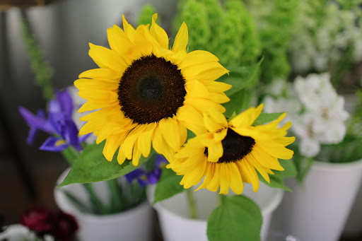 Florist «Classics Flowers and Confections», reviews and photos, 10069 Valley View St, Cypress, CA 90630, USA