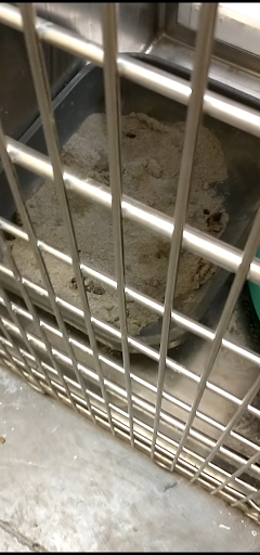 Pet Supply Store «PetSmart», reviews and photos, 1321 W Craig Rd, North Las Vegas, NV 89032, USA