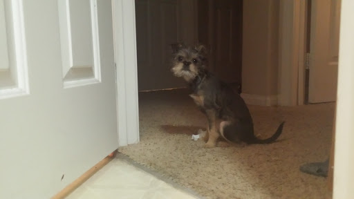 Golf Course «Bear Creek Golf Complex», reviews and photos, 500 East Riggs Road, Chandler, AZ 85249, USA