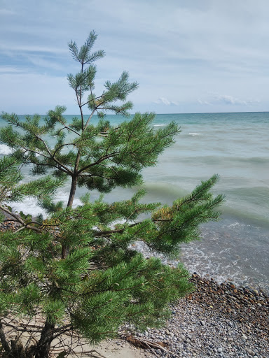 State Park «Lakeport State Park», reviews and photos, 7605 Lakeshore Rd, Lakeport, MI 48059, USA