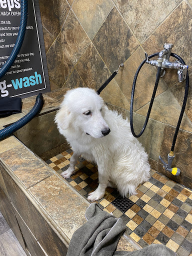 Pet Supply Store «Pet Supermarket, Inc.», reviews and photos, 1052 Peachtree Industrial Blvd, Suwanee, GA 30024, USA