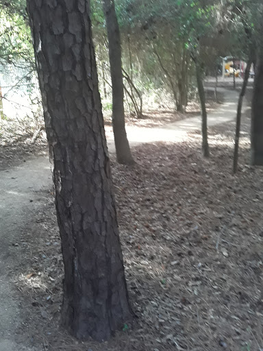 Park «Cy-Champ Park», reviews and photos, 14619 Cutten Rd, Houston, TX 77070, USA