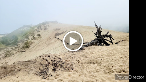 Horse Boarding Stable «Green Acres Beach & Trail Rides», reviews and photos, 5985 Pacific Ave, Cloverdale, OR 97112, USA