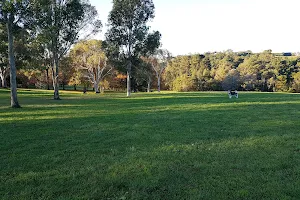 Seymour park dog off-leash image