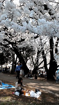 日枝神社