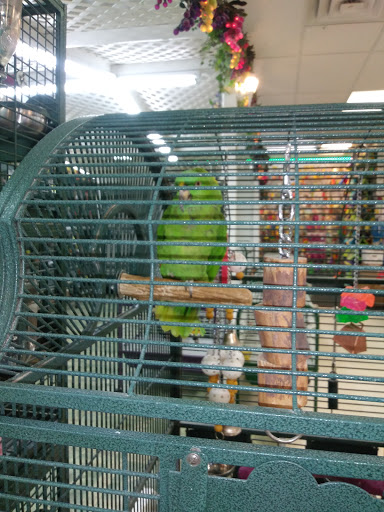Pet Store «Discount Pet & Supplies», reviews and photos, 16320 Middlebelt Rd, Livonia, MI 48154, USA