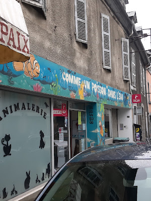 Comme Un Poisson Dans L Eau à Bagnères-de-Bigorre