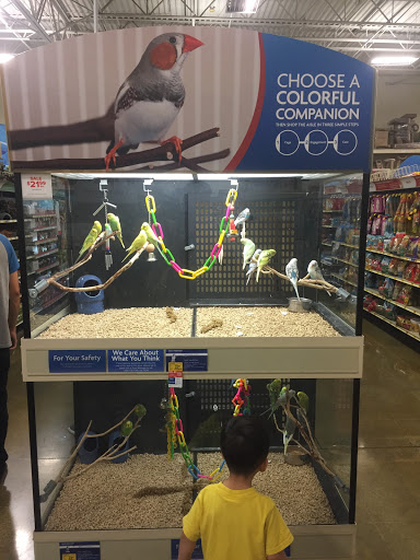 Pet Supply Store «PetSmart», reviews and photos, 3347 E Foothill Blvd, Pasadena, CA 91107, USA