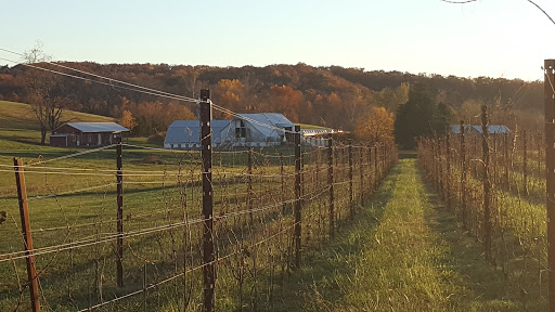 Winery «Black Ankle Vineyards», reviews and photos, 14463 Black Ankle Rd, Mt Airy, MD 21771, USA