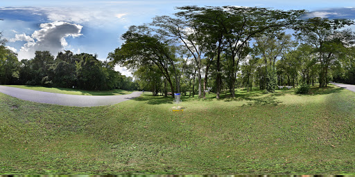 Disc Golf Course «Woodland Park Disc Golf Course - Columbia, TN», reviews and photos, 821 W 9th St, Columbia, TN 38401, USA