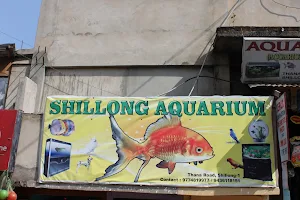 Shillong Pet & Aquarium image