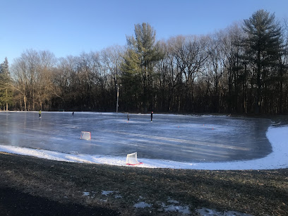 Madison Ice Skating Rink