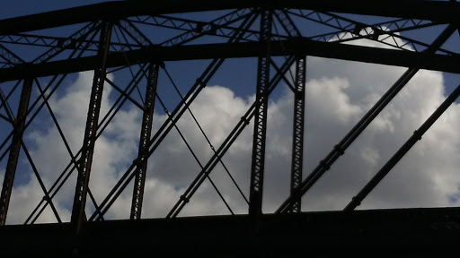 Park «Harlingen Thicket», reviews and photos, 311 E Tyler Ave, Harlingen, TX 78550, USA