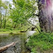 Cherry Creek Crossing Loop Trail