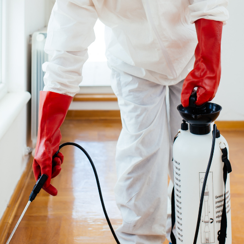 JBSL Services | Pest Control & Chimney Sweep | Waikato - Pest control service