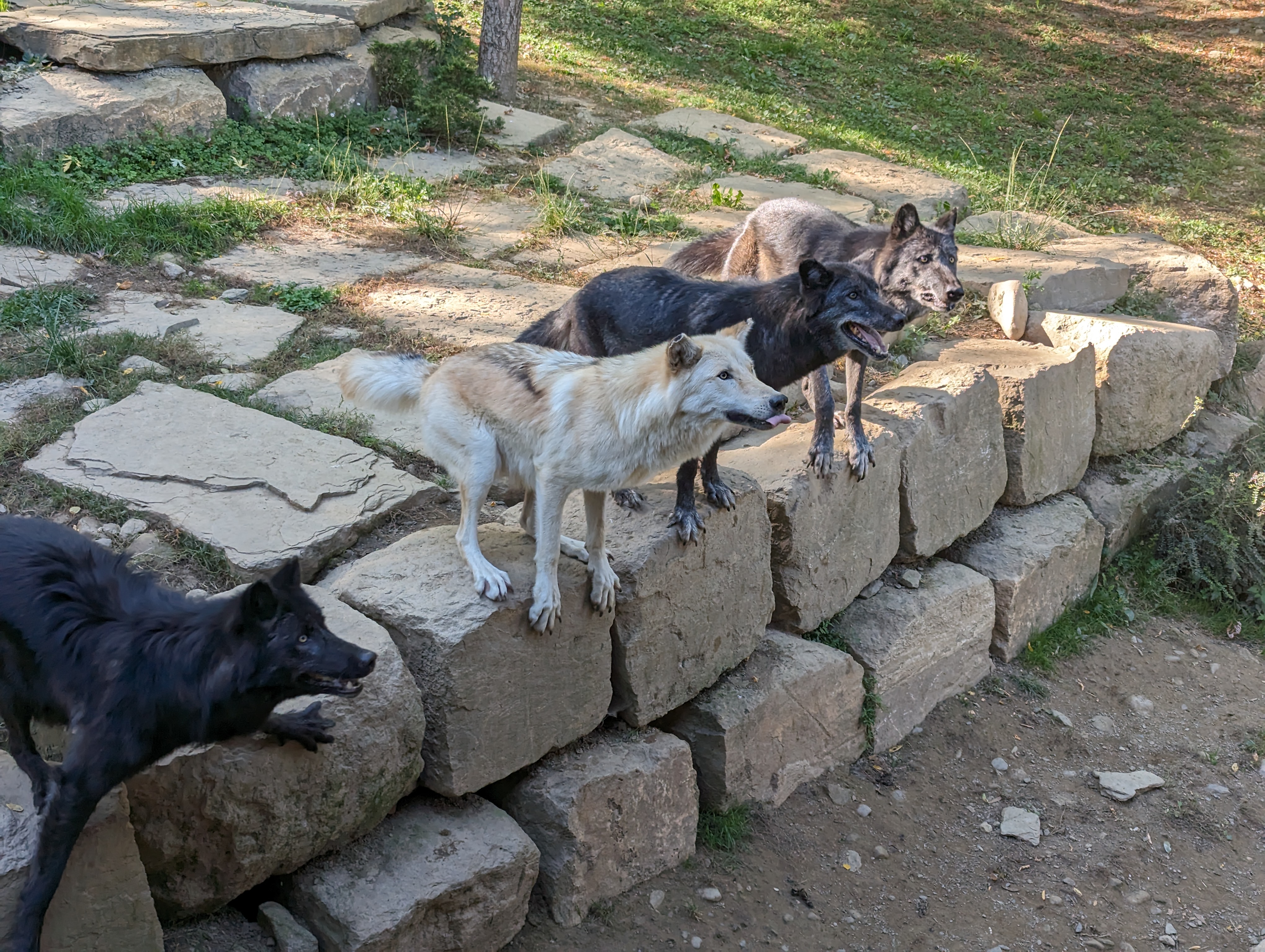 Photo n° 29 de l'avis de Thibaud.l fait le 10/10/2023 à 07:10