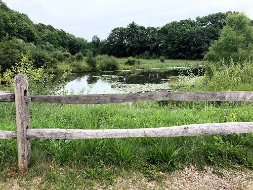 Nature Preserve «The Nature Trail and Cranberry Bog», reviews and photos, 252 Patriot Pl, Foxborough, MA 02035, USA